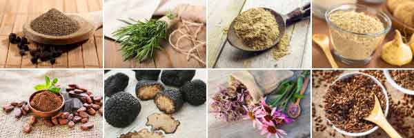 CBD, THC, and the Endocannabinoid System - A Primer 2 RS Labs CBD THC Endocannabinoid System Primer Other Plants Contain 1 600x200 1